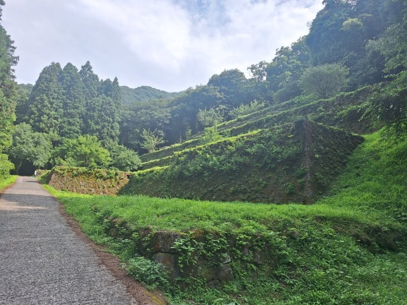 東幸建設2024年ボランティア活動