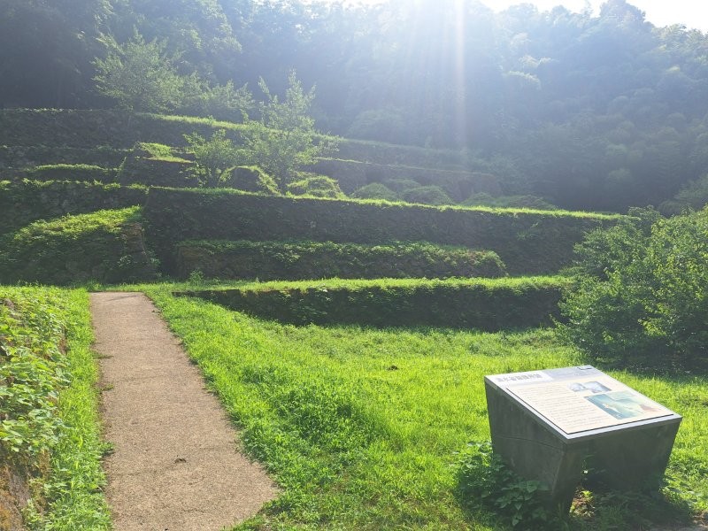 東幸建設2024年ボランティア活動